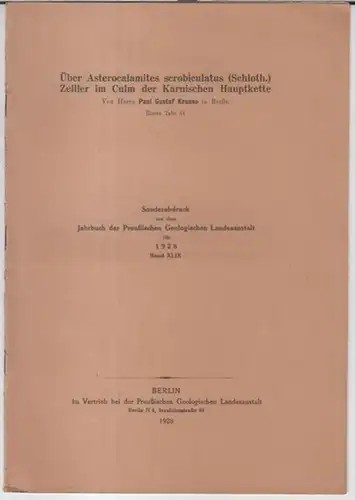 Krause, Paul Gustaf: Über Asterocalamites scrobiculatus ( Schloth. ) Zeiller im Culm der Karnischen Hauptkette. - Sonderabdruck aus dem Jahrbuch der Preußischen Geologischen Landesanstalt für 1928, Band XLIX. 