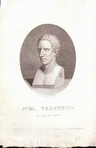 Terenz / Publius Terentius Afer (um 195-158 v. Chr.): Publ. Terentius. Lec. imag. in Mul. Capitol. Kupferstich von Fr. Bolt. 