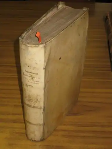 Oldenburg.   Hamelmann, Hermann: Oldenburgische Chronicon Das ist Beschreibung der Löblichen uhralten Grafen zu Oldenburg und Delmenhorst ec. Von welchen die jetzige Könige zu.. 