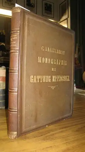 Haussknecht, Prof. C: Monographie der Gattung Epilobium. Mit 23 Steindrucktafeln und Verbreitungstabelle. 