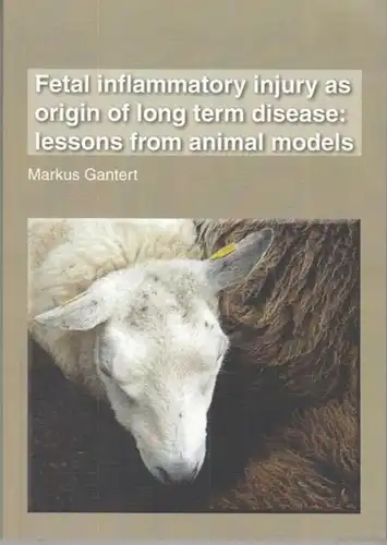 Gantert, Markus: Fetal inflammatory injury as origin of long term disease: lessons from animal models. 