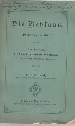 Wittmack, L. (Ludwig ) - (Bearb.): Die Reblaus (Phylloxera vastatrix). Im Auftrage des Königlich preußischen Ministeriums für die landwirthschaftlichen Angelegenheiten bearbeitet. 