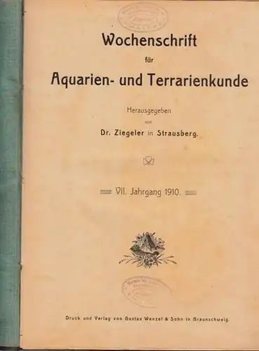 Wochenschrift für Aquarien- und Terrarienkunde - Dr. Ziegeler (Hrsg.): Wochenschrift für Aquarien- und Terrarienkunde. VII. (7.) Jahrgang 1910 komplett mit den Nummern 1 - 52 aus dem Zeitraum 4. Januar 1910 - 27. Dezember 1910. 
