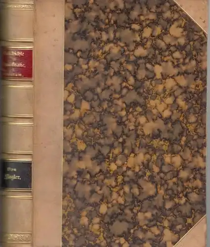 Flegler, Alexander: Geschichte der Demokratie. Erster Band: Altertum. 