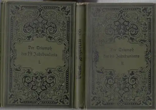 Verne, Jules: Der Triumph des 19. Jahrhundert, erster und zweiter Band ( = Collection Verne, Band 37 und 38 ). 
