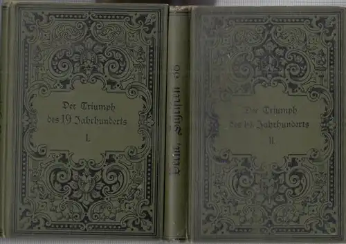 Verne, Jules: Der Triumph des 19. Jahrhundert, erster und zweiter Band ( = Collection Verne, Band 37 und 38 ).
