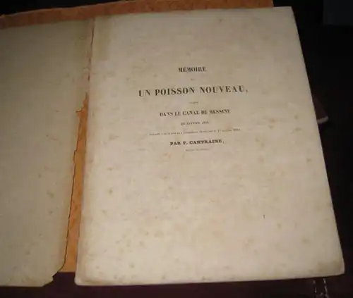 Cantraine, F(rancois-Joseph): Memoire sur un poissonnouveau, trouve dans le canal de Messine en janvier 1833, prsente a la seance de l' Academie de Bruxelles du 17 janvier 1833, par F. Cantraine, docteur en science ( Aus: Memoires de l' Academie de Bruxel