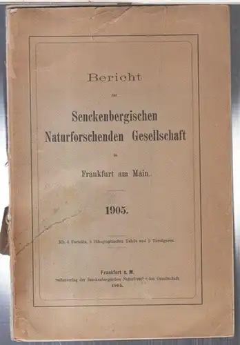 Senckenbergische Naturforschende Gesellschaft. - E. Lienenklaus / August Knoblauch u. a: 1905 - Bericht der Senckenbergischen Naturforschenden Gesellschaft in Frankfurt am Main. Vom Juni 1904 bis Juni 1905. - Aus dem Inhalt: E. Lienenklaus - Die Ostrakode