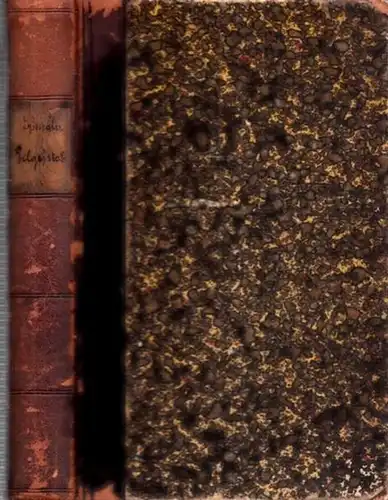 Spengler, Heinrich: Der kleine Pilgerstab. Morgen- und Abendandachten nebst Gebeten für besondere Zeiten und Verhältnisse des Lebens. 