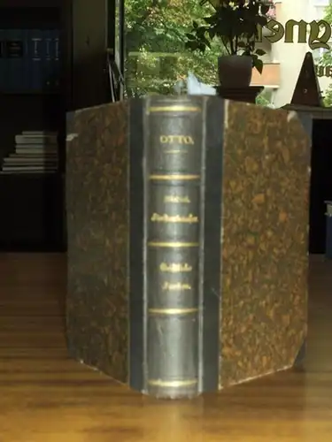 Otto, Luise: Geschichte mediatisirter deutscher Fürstenhäuser. Hannover, Kurhessen, Nassau, Thurn und Taxis, Hohenzollern Sigmaringen, Hohenzollern Hechingen, Ansbach, Baireuth und Arenberg.   Beigebunden von derselben.. 
