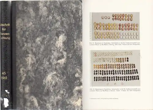 Zeitschrift für Pflanzenzüchtung.   Fruwirth, C. (Begründer) // Akerberg, E.; Kappert, H.; Kuckuck, H.; Rudorf,  W.; Stubbe, H.; Tschermak, E.v. (Herausgeber): Zeitschrift für..