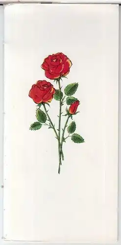 Berliner Typographische Gesellschaft. - Genzmer, Fritz ( Entwurf und Verse ). - illustriert von Wilhelm Rudolph: Herzlichen Glückwunsch durch die Blume zum Geburtstag. 