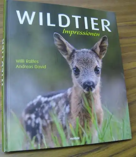 Rolfes, Willi ( Fotos ) / David, Andreas ( Texte ): Wildtier Impressionen. 
