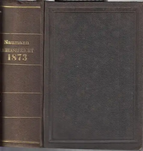 Naumann, Alexander: Jahresbericht ( 1873 ) über die Fortschritte der Chemie und verwandter Theile anderer Wissenschaften. Für 1873. ( Reihentitel : Jahresbericht über die Fortschritte...