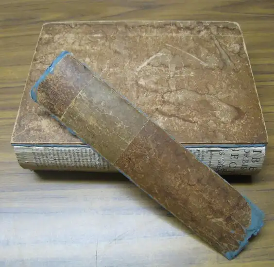 Landon, C. P. - Dominique Zampieri, dit le Dominiquin / Raphael Sanzio: Anthologie avec les parties 1 et 2 (de 3): Dominique Zampieri, dit le Dominiquin ( Ecole Lombarde. Vie et oeuvre complete / Suite de l' oeuvre du Dominiquin, avec PLANCHES 1-60 et 61-