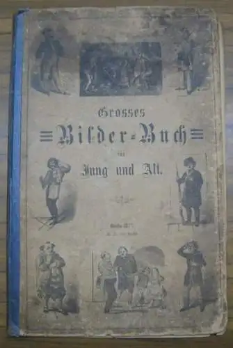 Deutsche Bilderbogen.   illustriert von W. Camphausen, Jul. Pelkok u. a: Grosses Bilder Buch für Jung und Alt (Deutsche Bilderbogen).   Inhalt: Nr.. 