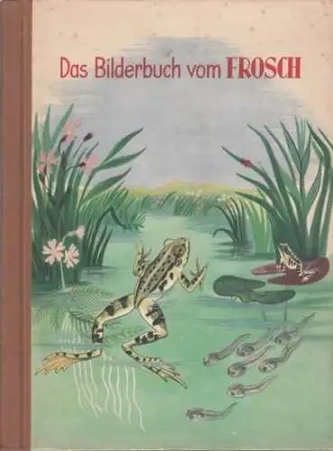 Siebert, Ann: Das Bilderbuch vom Frosch. Die Entwicklung des Frosches in vierzehn Bildern. 