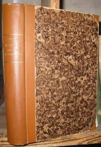 Schröder, Carl: Mecklenburg und die Mecklenburger in der schönen Literatur. (= Mecklenburgische Geschichte in Einzeldarstellungen. Heft XI / XII). 