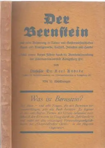 Andrée, Karl: Der Bernstein und seine Bedeutung in Natur-und Geisteswissenschaften, Kunst und Kunstgewerbe, Technik, Industrie und Handel. Nebst einem kurzen Führer durch die Bernsteinsammlung der Albertus-Universität [Königsberg]. 