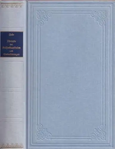 Jahr, G.H.G. [ Gottlieb Heinrich Georg Jahr ]: Allgemeine und specielle Therapie der Geisteskrankheiten und Seelenstörungen. Nach homöopathischen Grundsätzen bearbeitet und herausgegeben. 