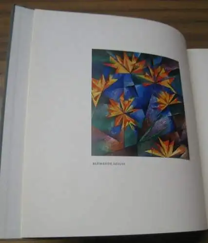 Kubicki, Stanislaw: Stanislaw Kubicki Pflanzenzeichnungen. 