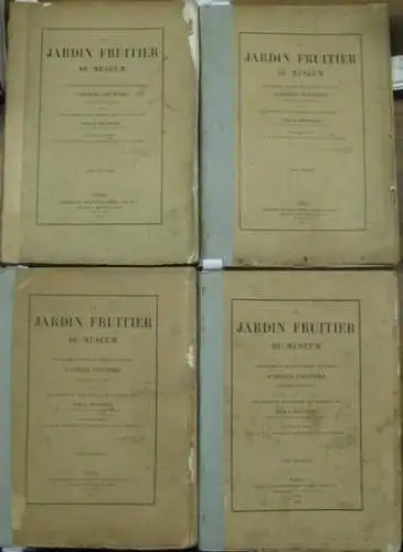 Jardin Fruitier.   Decaisne, J[oseph]: Le Jardin Fruitier du Museum ou Iconographie de toutes les especes et varietes d'arbres fruitiers cultives dans cet etablissemenent.. 