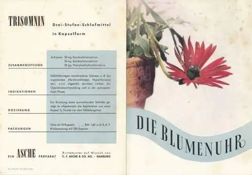 Blumenuhr. - C. F. Asche, Hamburg: Die Blumenuhr. Trisomnin. Drei-Stufen-Schlafmittel in Kapselform. Ein ASCHE Präparat. 