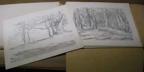 Volkmann, Hans von (1860 1927): Ohne Titel. 21 Drucke mit Landschaftszeichungen, im Druck signiert und zusätzlich handsigniert !   Motive: Wetterbuchen auf der Alb.. 