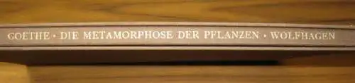 Wolfhagen, Ernst (Illu.). - Goethe, Johann Wolfgang von: Die Metamorphose der Pflanzen. Ein Gedicht. Mit Originalradierungen von Ernst Wolfhagen. 