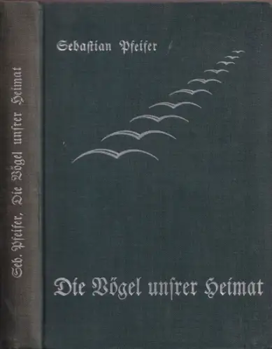 Pfeifer, Sebastian - Senckenbergische Naturforschende Gesellschaft (Hrsg.): Die Vögel unsrer Heimat - Herausgegeben von der Senckenbergischen Naturforschenden Gesellschaft (= Senckenberg-Buch 4). 