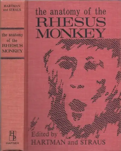Hartman, Carl G. (Ed.) - Benjamin Kopel (Illustr.): The Anatomy of the Rhesus Monkey (Macaca mulatta). 