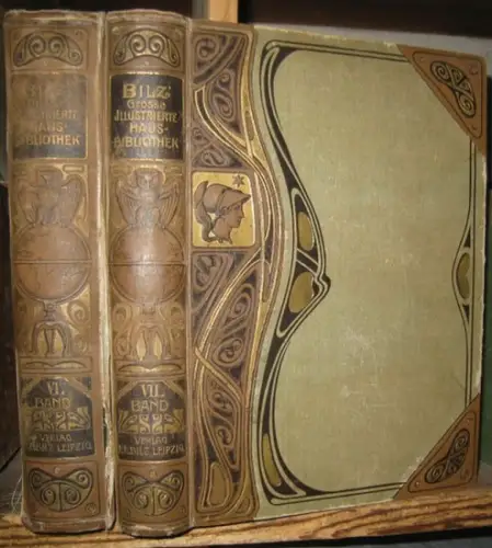 Bilz, Friedrich Eduard: Das neue Naturheilverfahren, VI. und VII. Band: Beschreibung sämtlicher Krankheiten von A bis M und von N bis Z ( = Bilz Große Illustrierte Hausbibliothek, II. Teil: Pflege des Körpers ). 