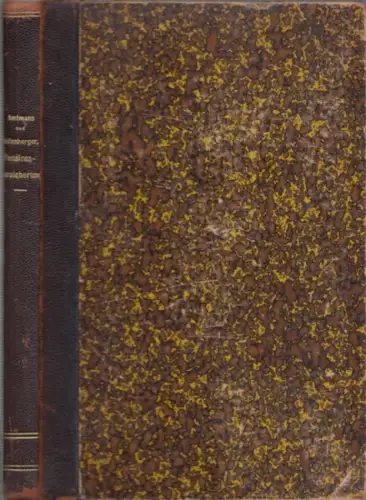 Amtmann, Hans - Ernst Pfaffenberger: Zur Mathematik der Pensionsversicherung. 