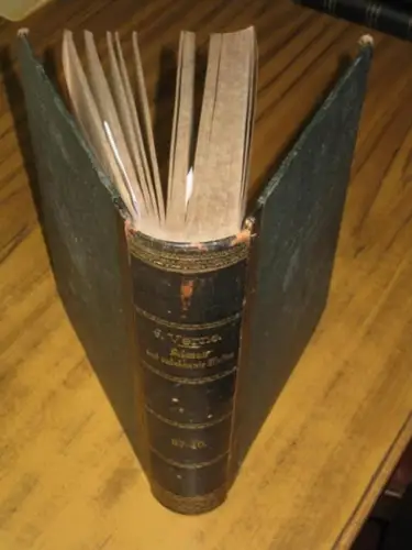 Verne, Jules (Julius): Der Triumph des 19. Jahrhunderts. Mit 93 Illustrationen. UND: Die Jangada. Achthundert Meilen auf dem Amazonenstrom. Mit 97 Illu. (= Bekannte und.. 