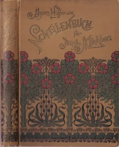 Hoffmann, Agnes: Illustriertes Novellenbuch für junge Mädchen. 