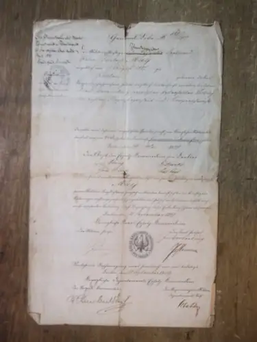 May, Ferdinand Peter Friedrich.   Potsdam.   Königliche Kreis Ersatzkommission Berlin.   Untauglichkeitsattest, Untauglichkeitsbescheinigung für den Militärpflichtigen Ferdinand Peter Friedrich May, geboren.. 