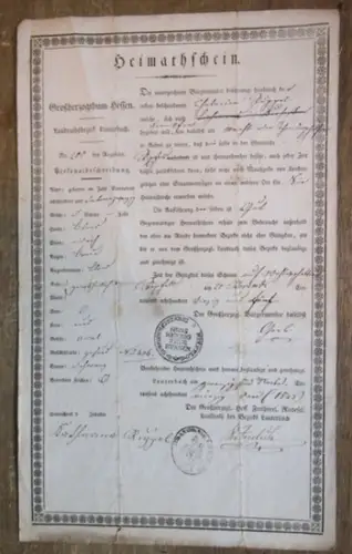 Ruggel, Katharina (Chatarina).   Heimatschein.   Großherzogtum Hessen.   Landratsbezirk Lauterbach.   Rixfeld.   Vogelsbergkreis.   Frankfurt am Main.. 