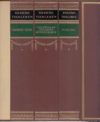 Brehm, Alfred / Bibliographisches Institut, Leipzig (Hrsg.): Brehms Tierleben - Werbeband / Musterband / Beispielband zur vierten Auflage 1930 [ in 13 Bänden ]. 