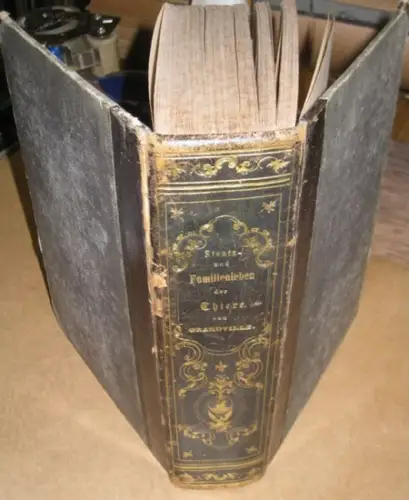 Grandville. - Diezmann, Dr. A: Grandville's Bilder aus dem Staats- und Familienleben der Thiere (Tiere). Mit Erläuterungen herausgegeben von A. Diezmann. 