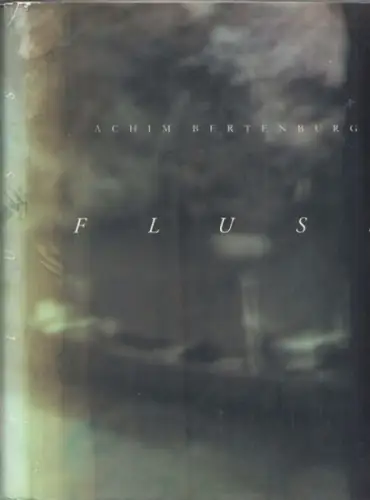 Bertenburg, Achim / Peter Friese (Hrsg.): Achim Bertenburg : Fluss - 1993 - 2007. 
