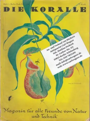 Koralle, Die.   Kern, Maximilian (Redaktion).   mit Beiträgen von Carl W. Neumann, Helene v. Bronsart, Adolf Heilborn, Lola Kreutzberg, Ludwig Brühl, Oswald.. 