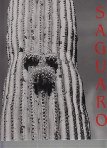 Sticha, Pavel u. Philip - Ursula Prinz: Saguaro. 