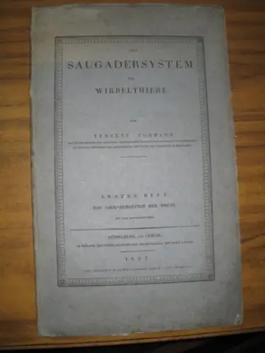 Fohmann, Vincenz: Das Saugadersystem der Wirbelthiere. Heft 1 sep.: Das Saugadersystem der Fische. Mit 18 gestochenen Tafeln. 