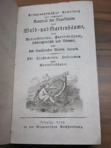 Schreger: Erfahrungsmäßige Anweisung zur richtigen Kenntniß der Krankheiten der Wald  und Gartenbäume, der Getraidearten, Futterkräuter, Küchengewächse und Blumen. Nebst den bewährtesten Mitteln dagegen. Für.. 