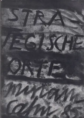 Cahn, Miriam: Strategische Orte. Mit den kindern und tieren   das genaue hinschauen   schlechte Tage   lesen in staub.. 