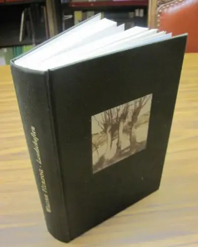 Herzog, Walter: Walter Herzog Landschaften. Werkverzeichnis der Radierungen 1983-1997. 