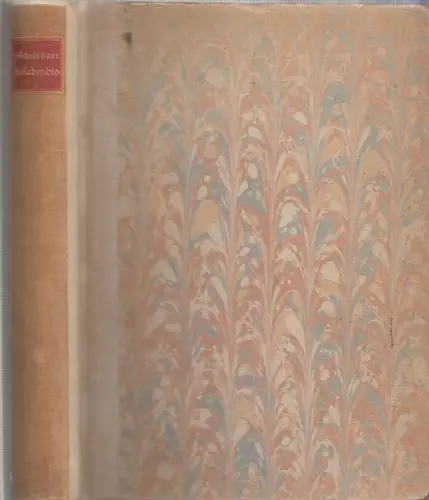 Scheerbart, Paul - Alfred Kubin (Illustr.): Lesabendio - Ein Asteroiden-Roman. 