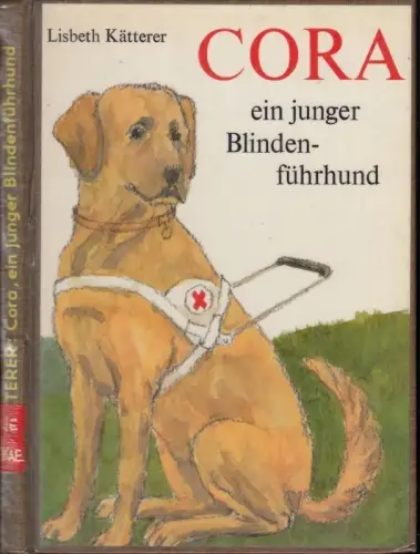 Cora, ein junger Blindenführhund