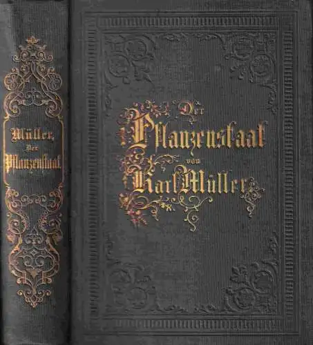 Müller, Karl: Der Pflanzenstaat oder Entwurf einer Entwickelungsgeschichte des Pflanzenreiches. Eine allgemeine Botanik für Laien und Naturforscher. 