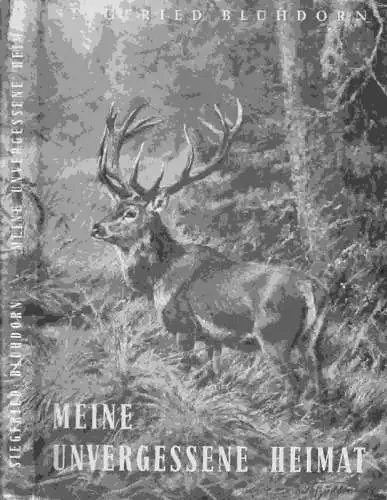 BLÜHDORN, Siegfried: Meine unvergessene Heimat. 